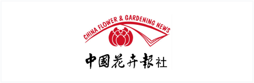 糖果派对 - 更优质的游戏运营商官网