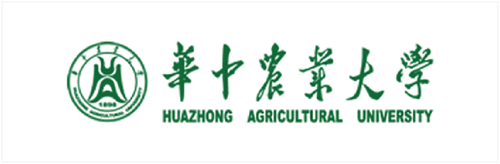 糖果派对 - 更优质的游戏运营商官网