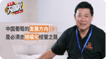 中国通常的发展方向 是必须走规；