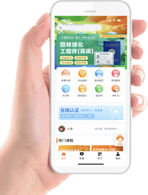 糖果派对 - 更优质的游戏运营商官网