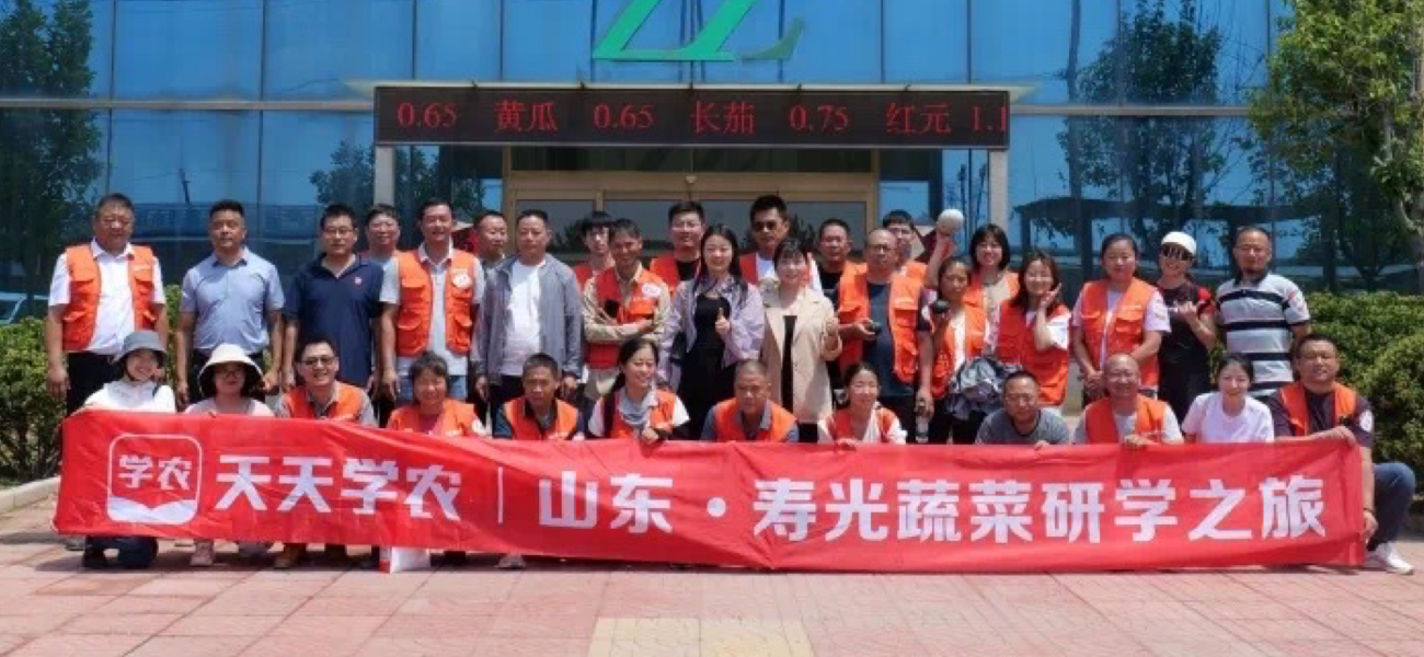 糖果派对 - 更优质的游戏运营商官网