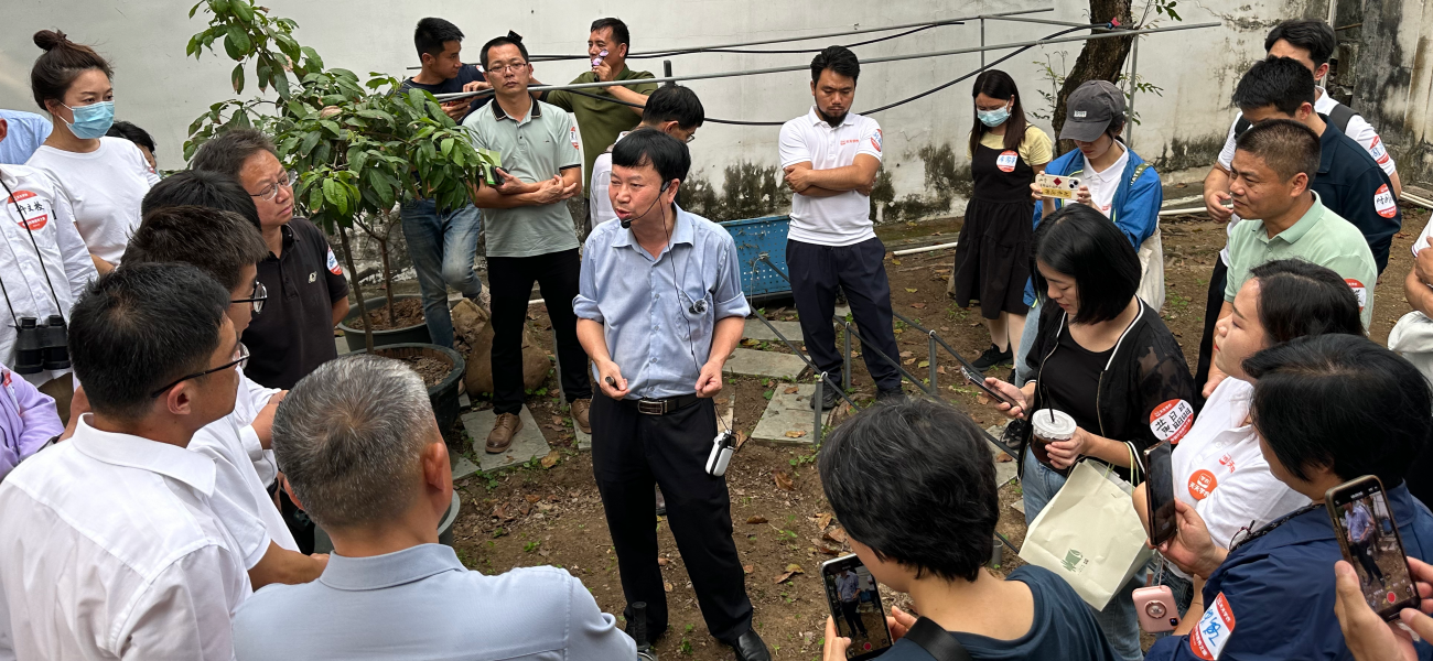 糖果派对 - 更优质的游戏运营商官网