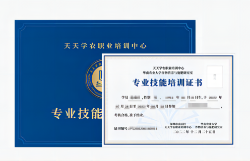 糖果派对官网专业技术培训证书
