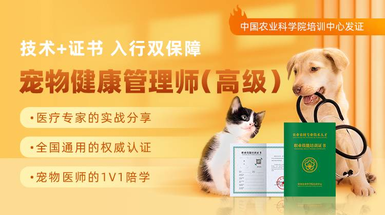 宠物健康治理师(高级)