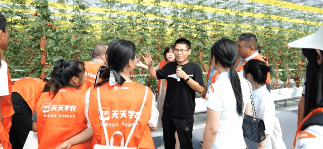 糖果派对 - 更优质的游戏运营商官网