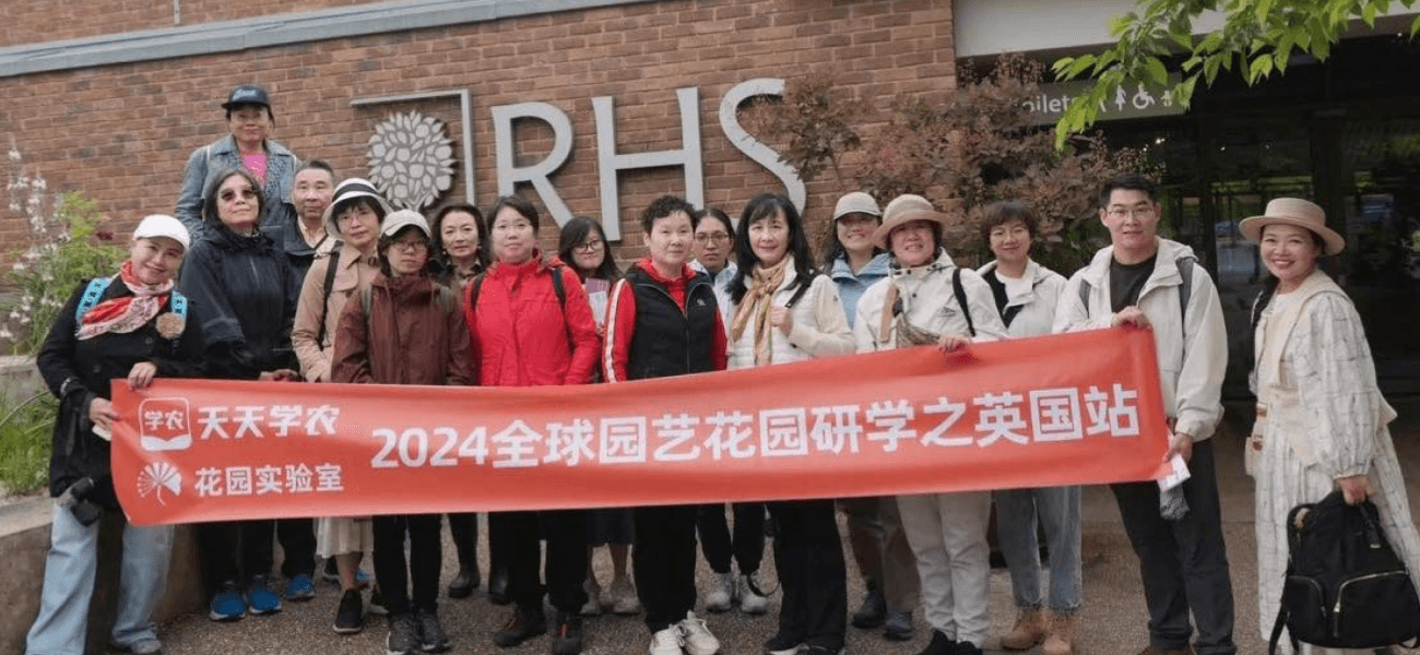 糖果派对 - 更优质的游戏运营商官网