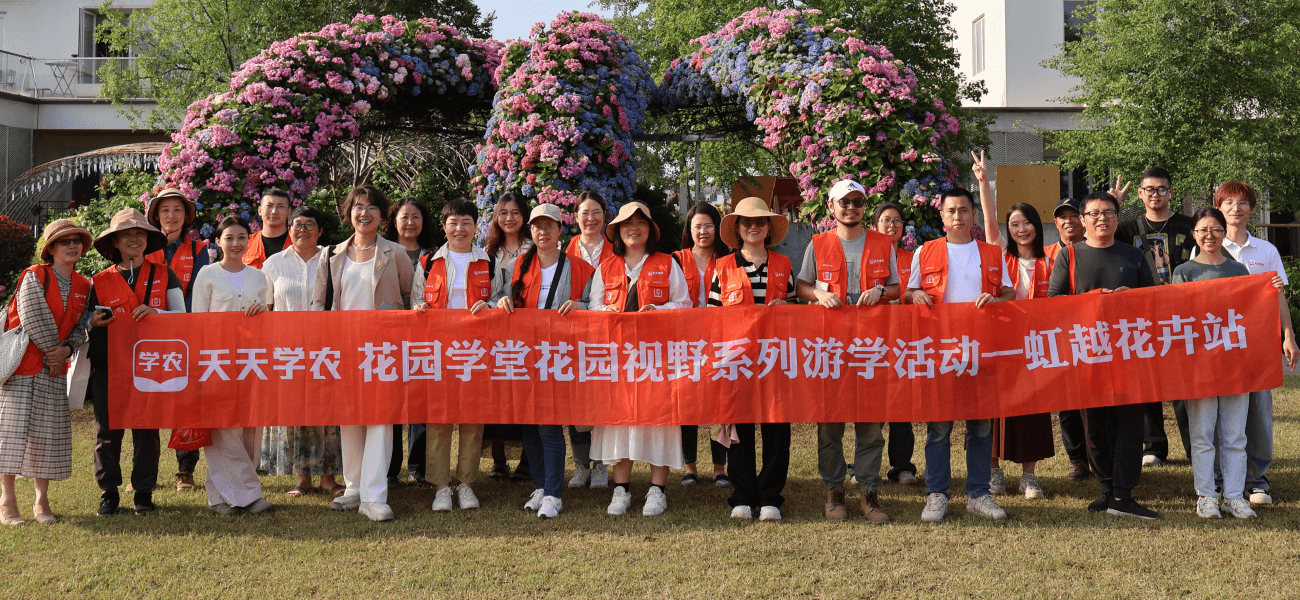 糖果派对 - 更优质的游戏运营商官网