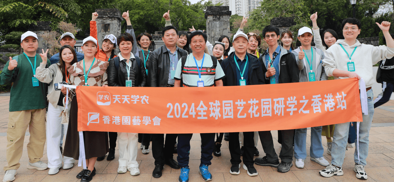 糖果派对 - 更优质的游戏运营商官网