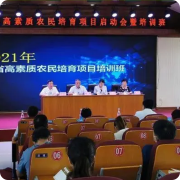 糖果派对 - 更优质的游戏运营商官网