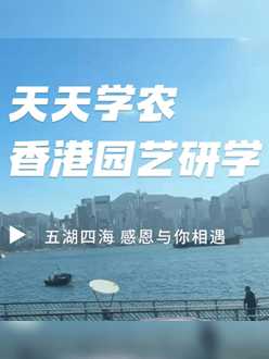 与香港园艺学会结合进行香港园艺研学，专业园境师带队解说。