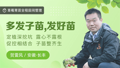 多发子苗，发好苗