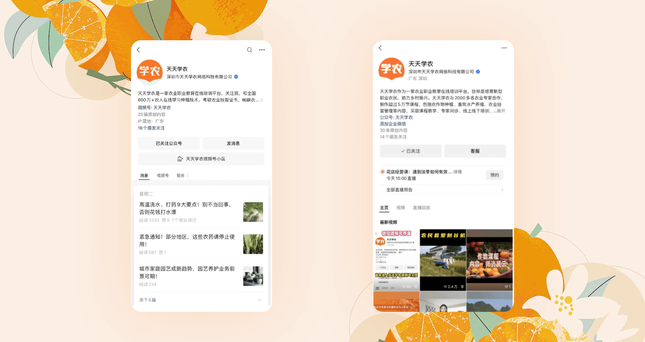 糖果派对 - 更优质的游戏运营商官网